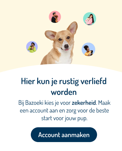 Propositie