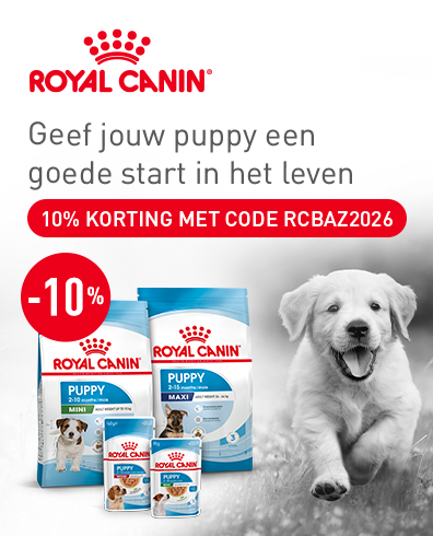 X70500 royal canin bazoeki breedpage 396x490