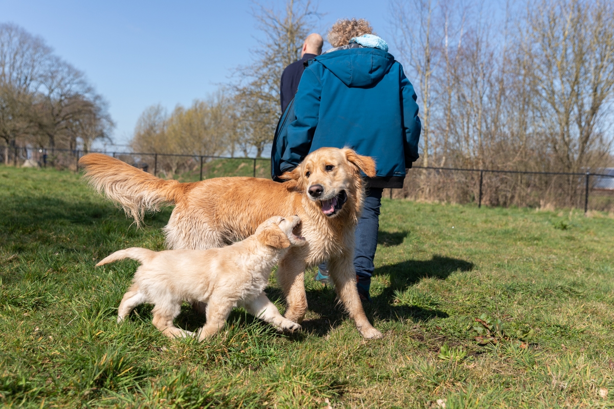 AY9 A6042carilijnepieters