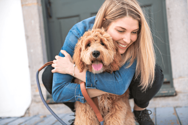 Bestaat de hypoallergene hond?
