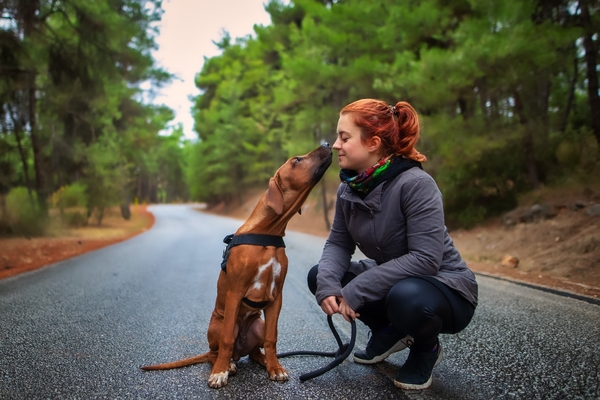 Vragen die je jezelf moet stellen voordat je een hond koopt