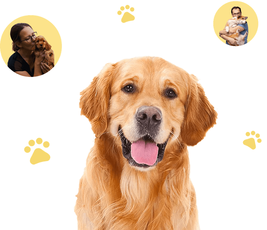 Group 1000004354 1 2024 09 10 102402 epfc