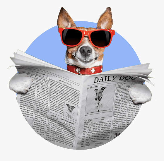 Dog newspaper