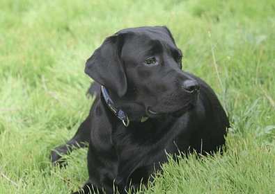 Schermafbeelding 2024 09 23 om 10 47 20