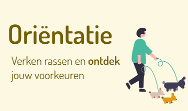 Schermafbeelding 2025 07 29 om 11 07 40