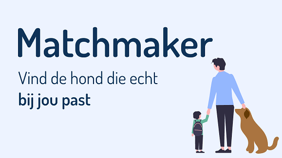 Schermafbeelding 2025 07 29 om 11 13 11