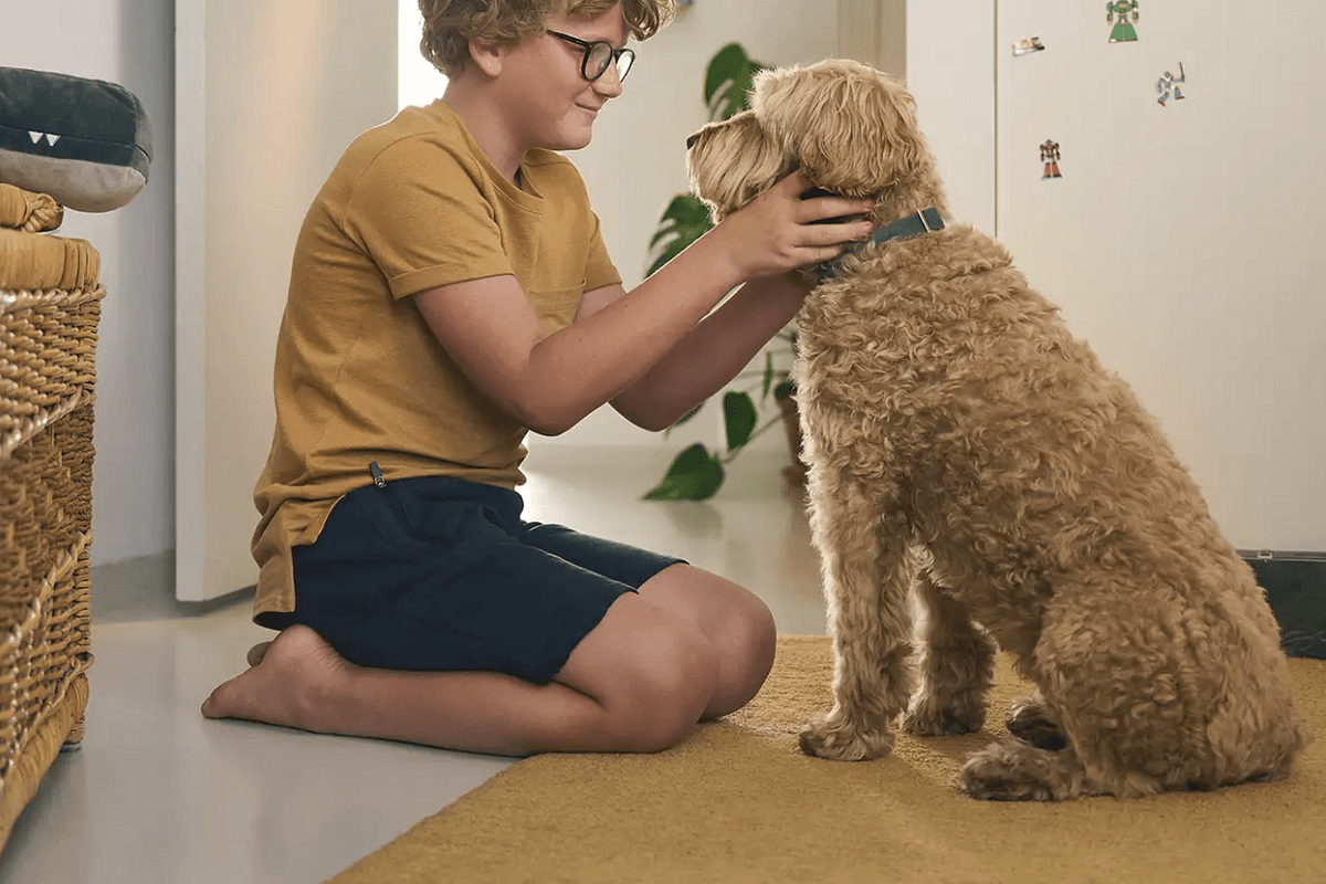 Schermafbeelding 2026 01 20 om 14 15 37