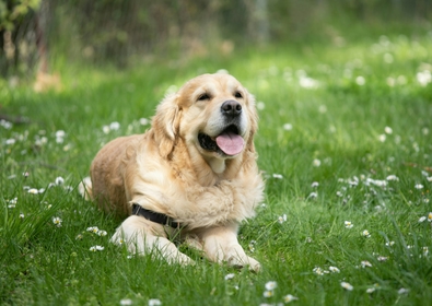 Angel luciano YI i Wr 12k E unsplash