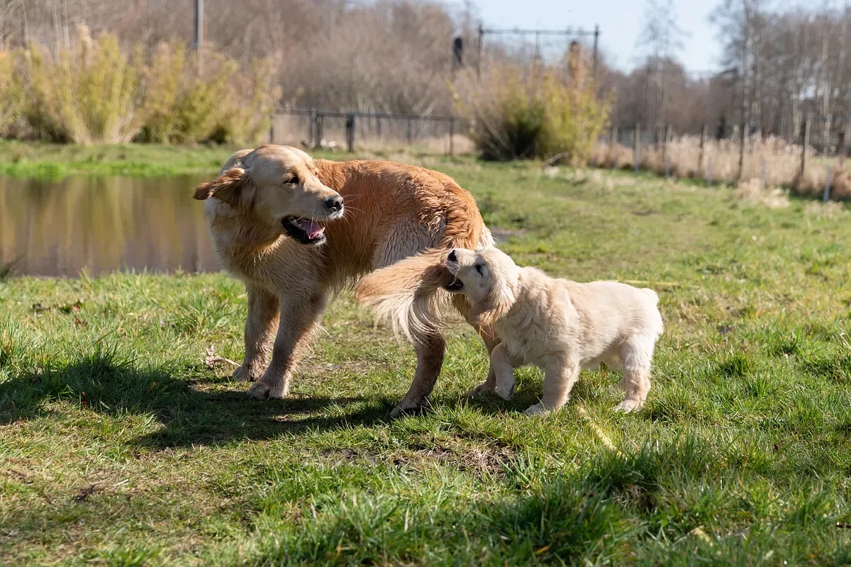 n Ry Z Wxsa XN Rd W Fud Glz YX Rpb24i On Ryd W Us Im92 ZX Jza G9vd E Rlcml