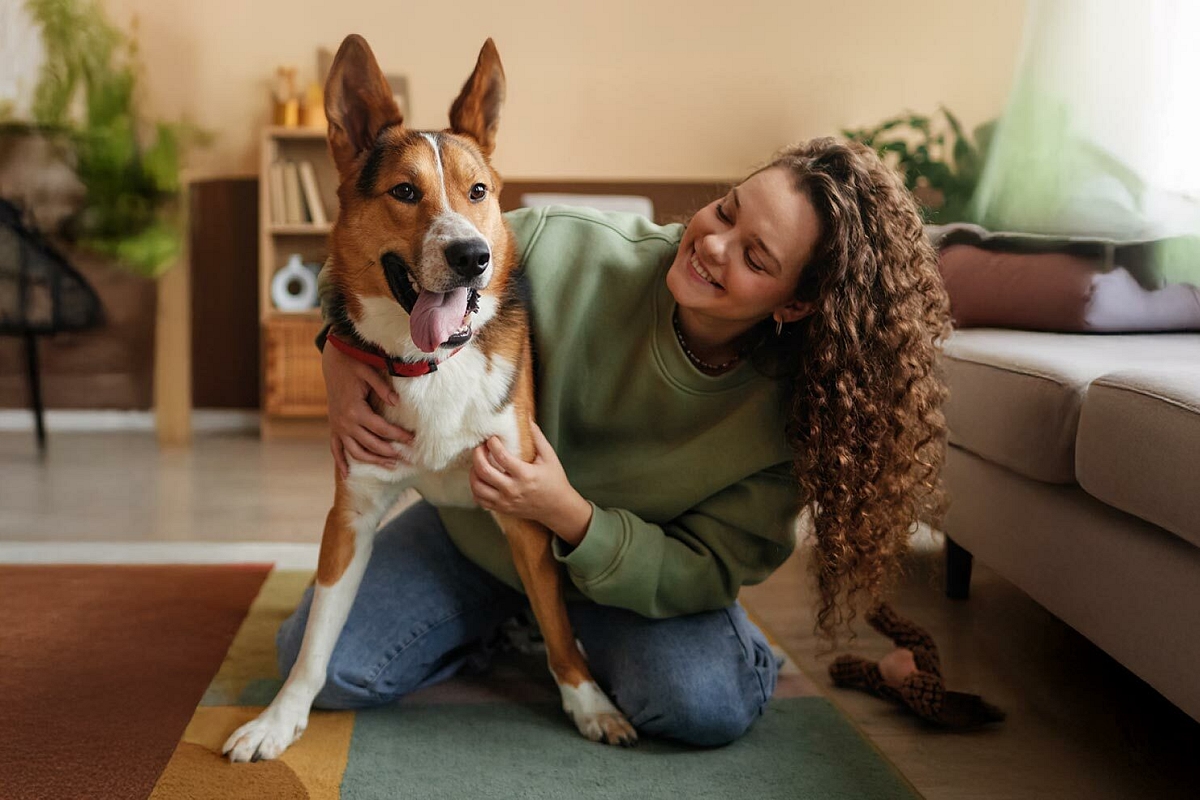 Figo hero blob image mobile 02