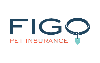 Figo logo for page